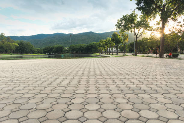 Best Driveway Pavers Near Me  in Independence, WI
